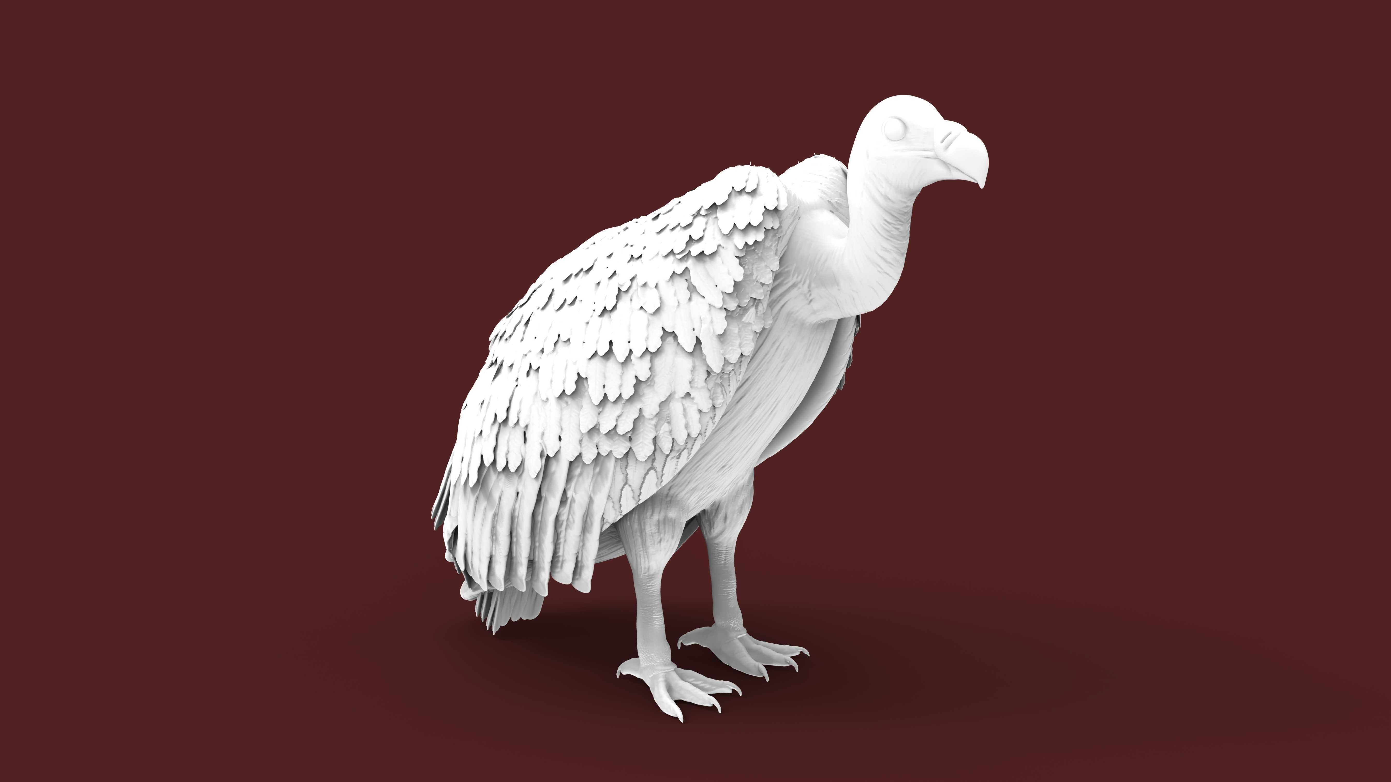 vulture 3D print model_1