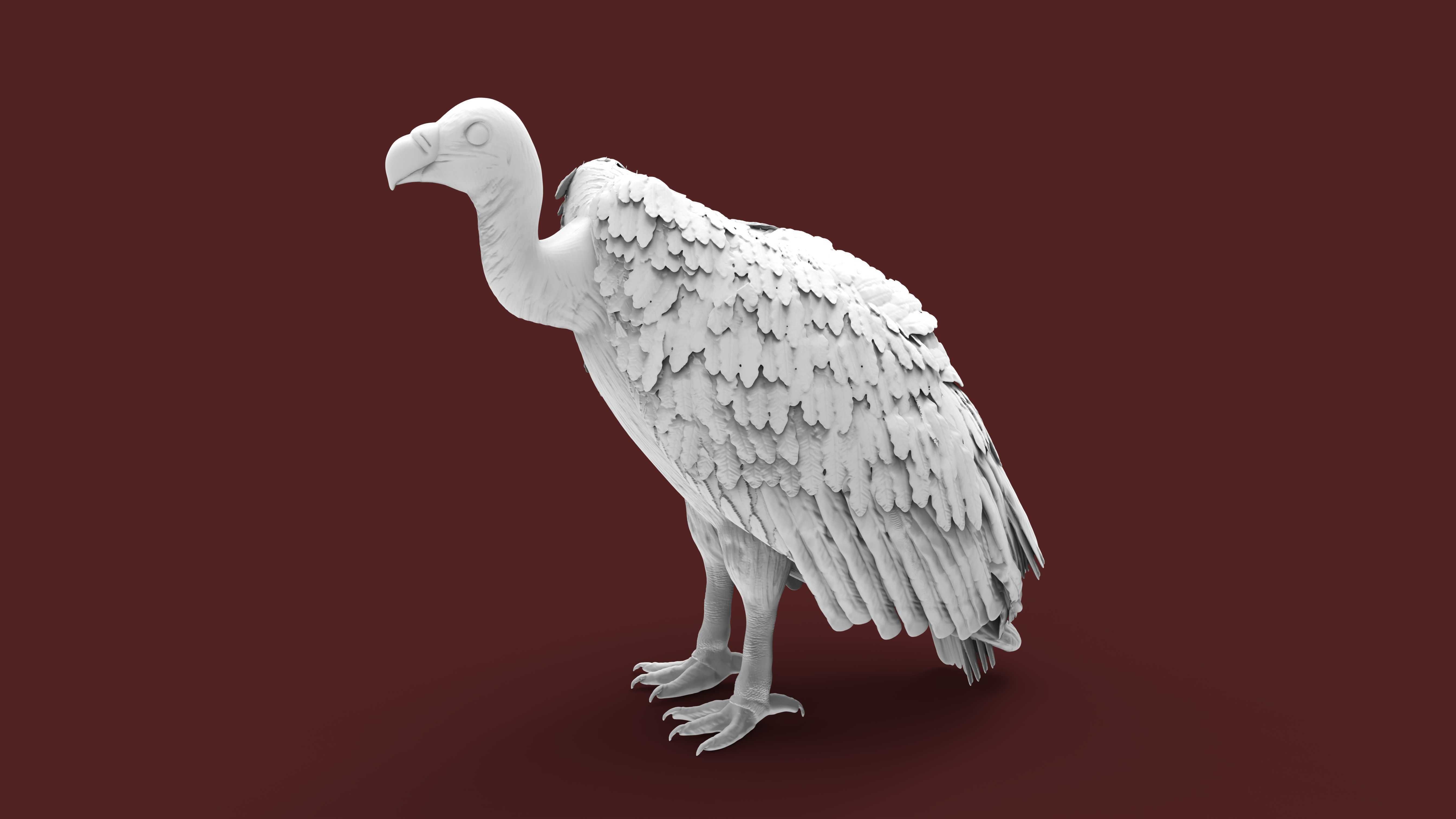 vulture 3D print model_2