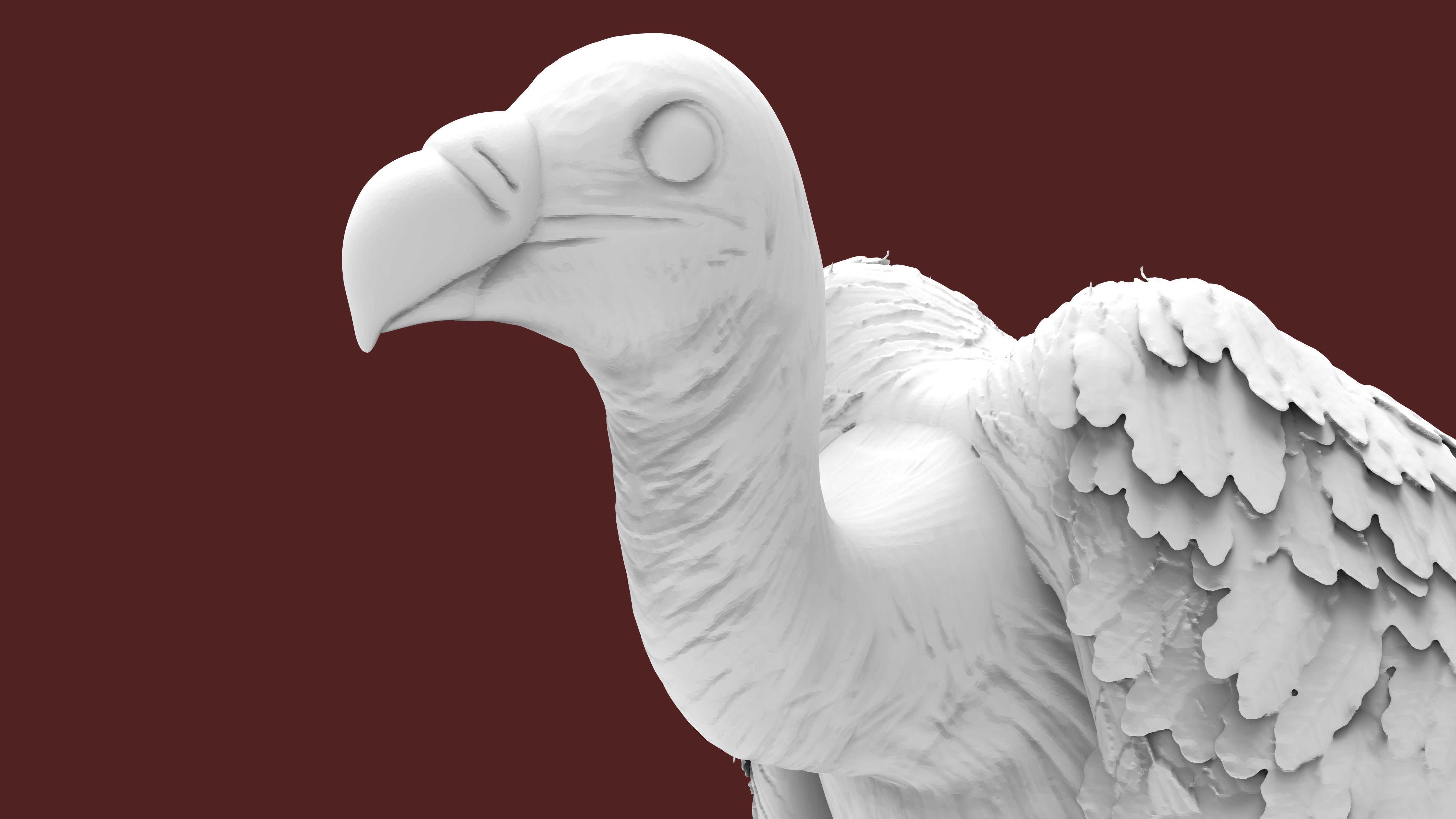vulture 3D print model_3