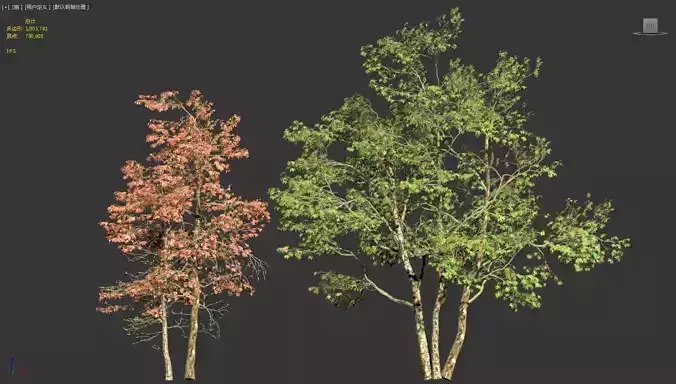 dynamic landscape maple maple tree 3D model