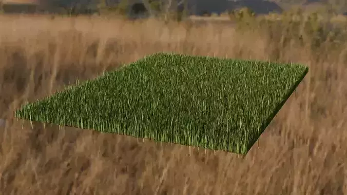 Grass Bed 3D MODEL