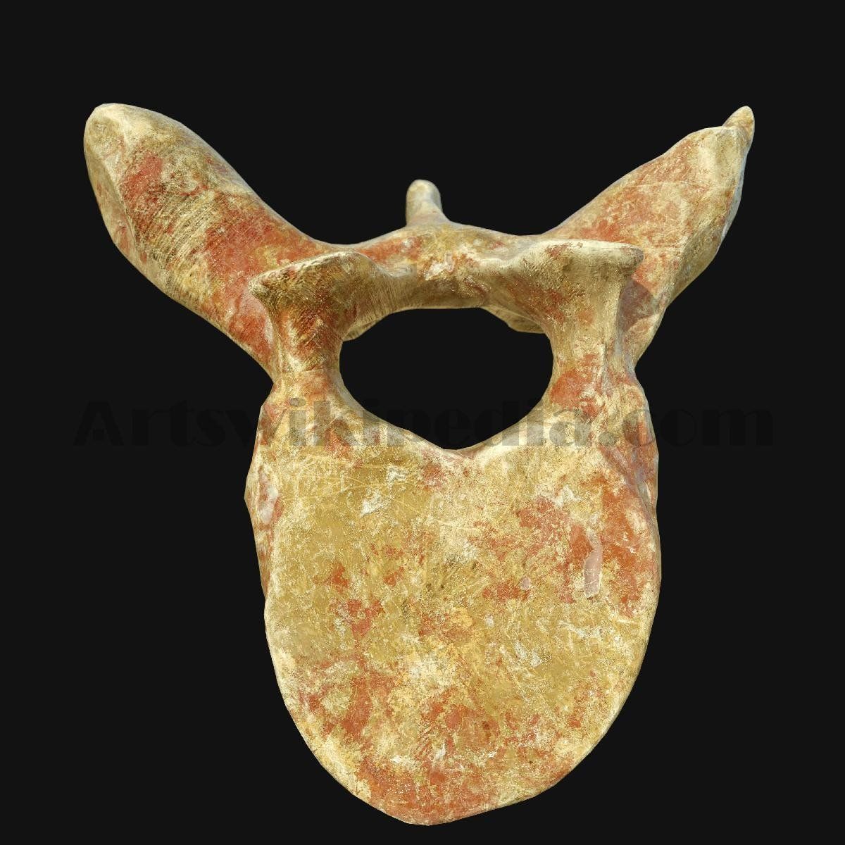 3D Thoracic Vertebra 3D model_5