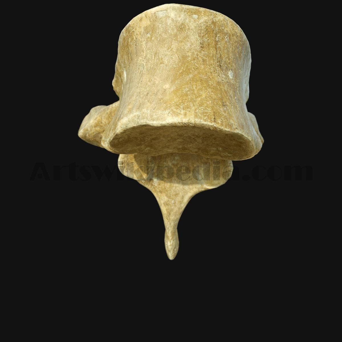 3D Thoracic Spine Bone 3D model_2