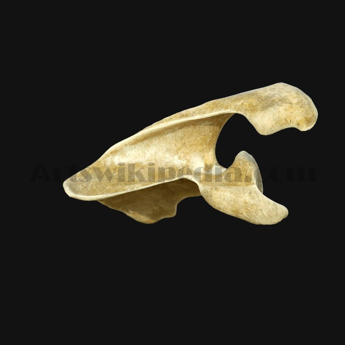 3D Scapula Bone 3D model_1
