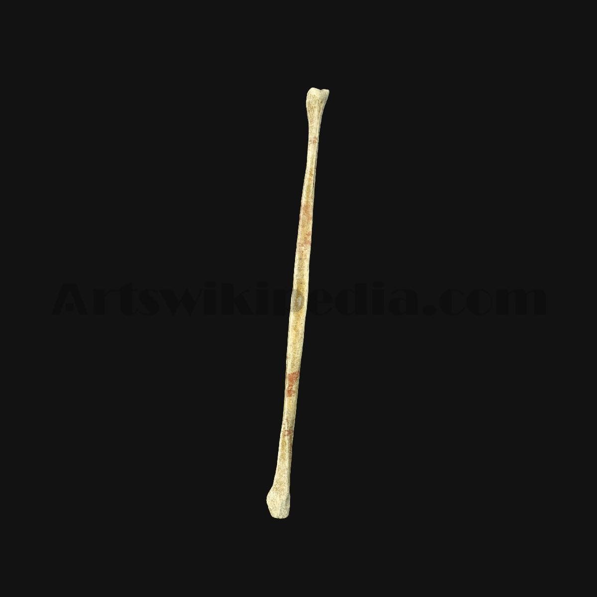 3D Fibula Bone 3D model_3