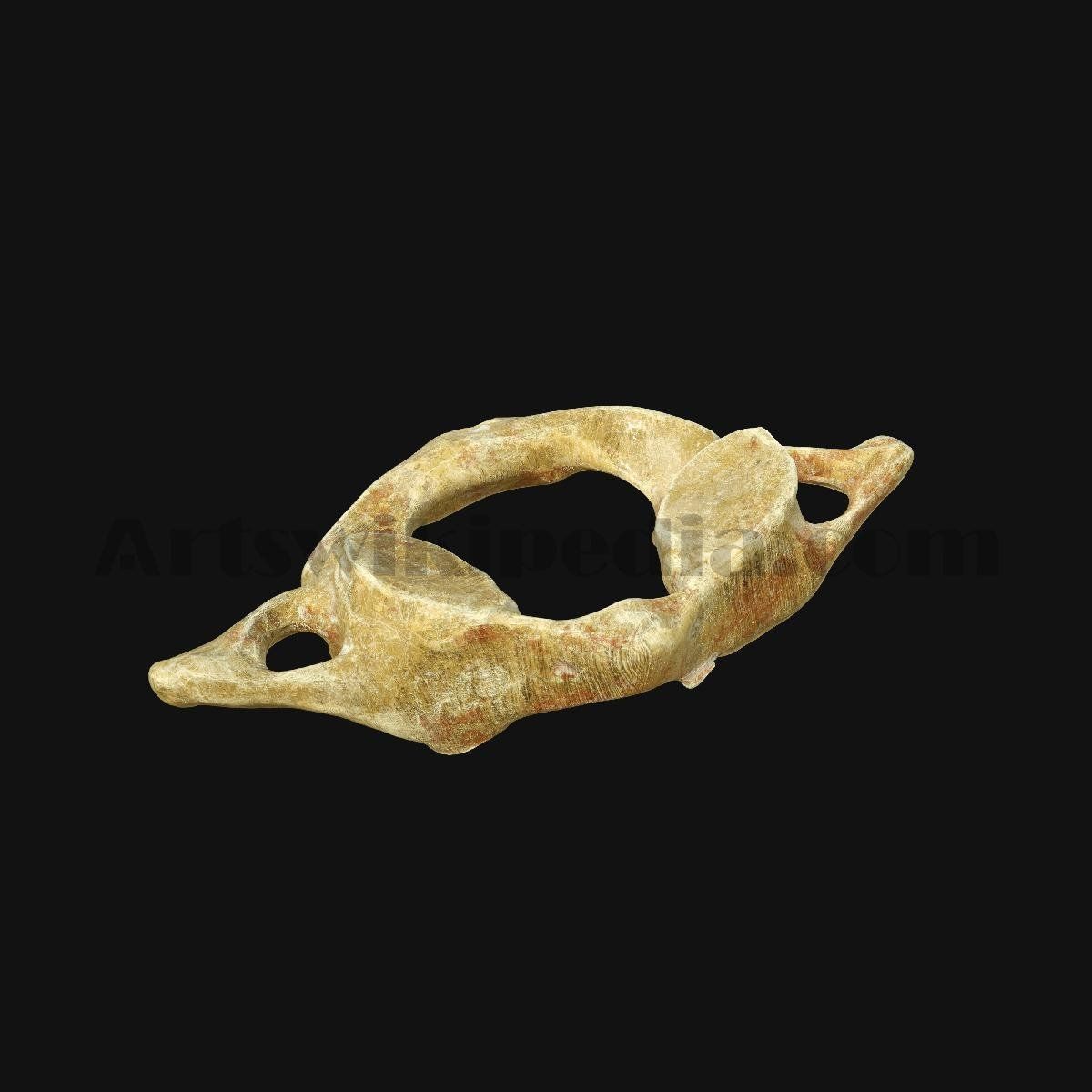 3D Atlas Vertebra Model 3D model_4