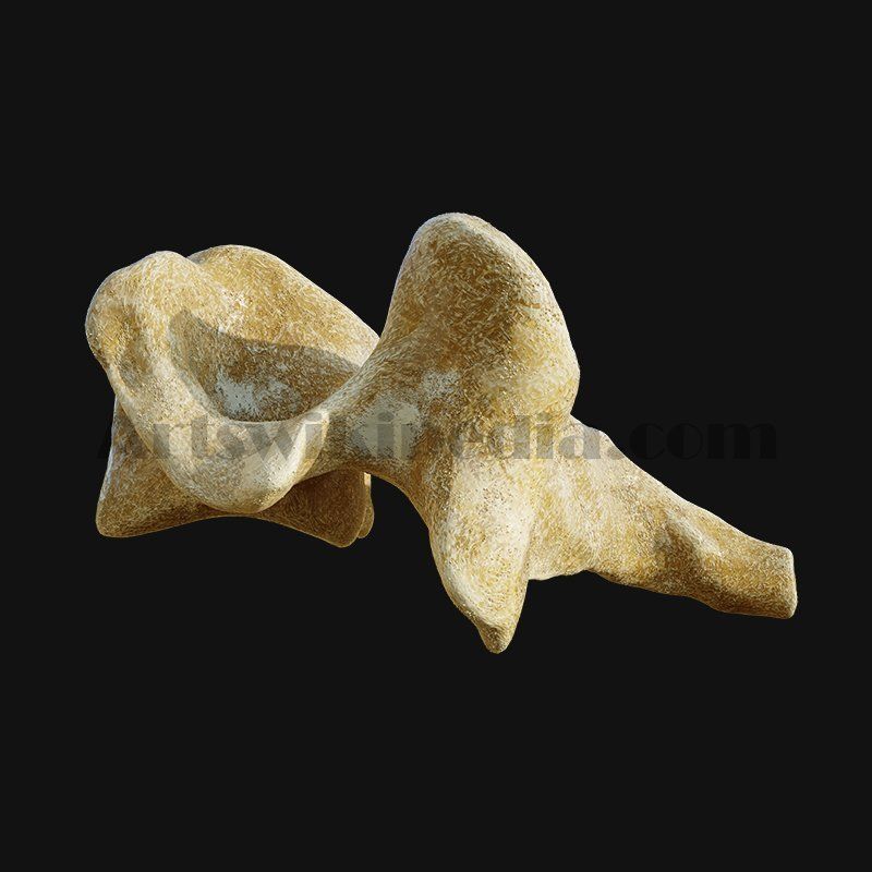 3D cervical Vertebrae 3D model_6