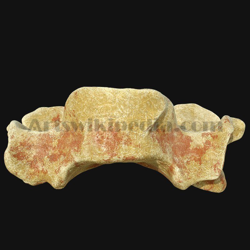 C3 Cervical  Vertebrae 3D model_9