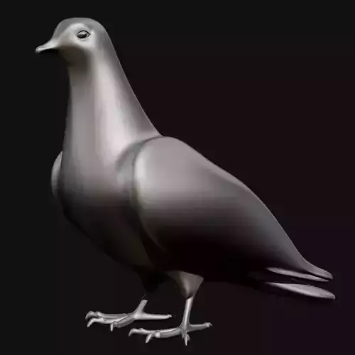 3d Doves Models