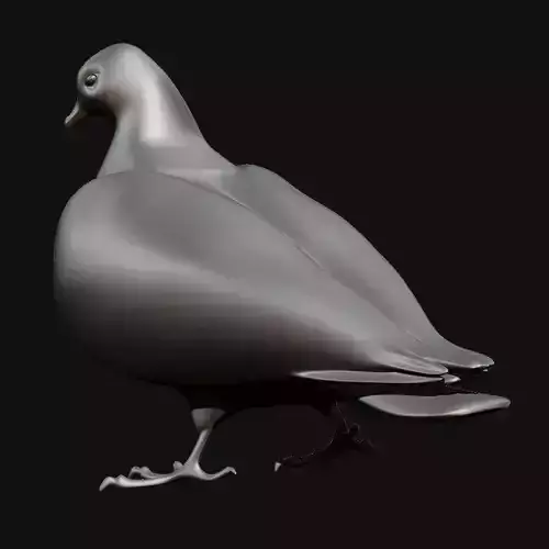 3D Pigeons