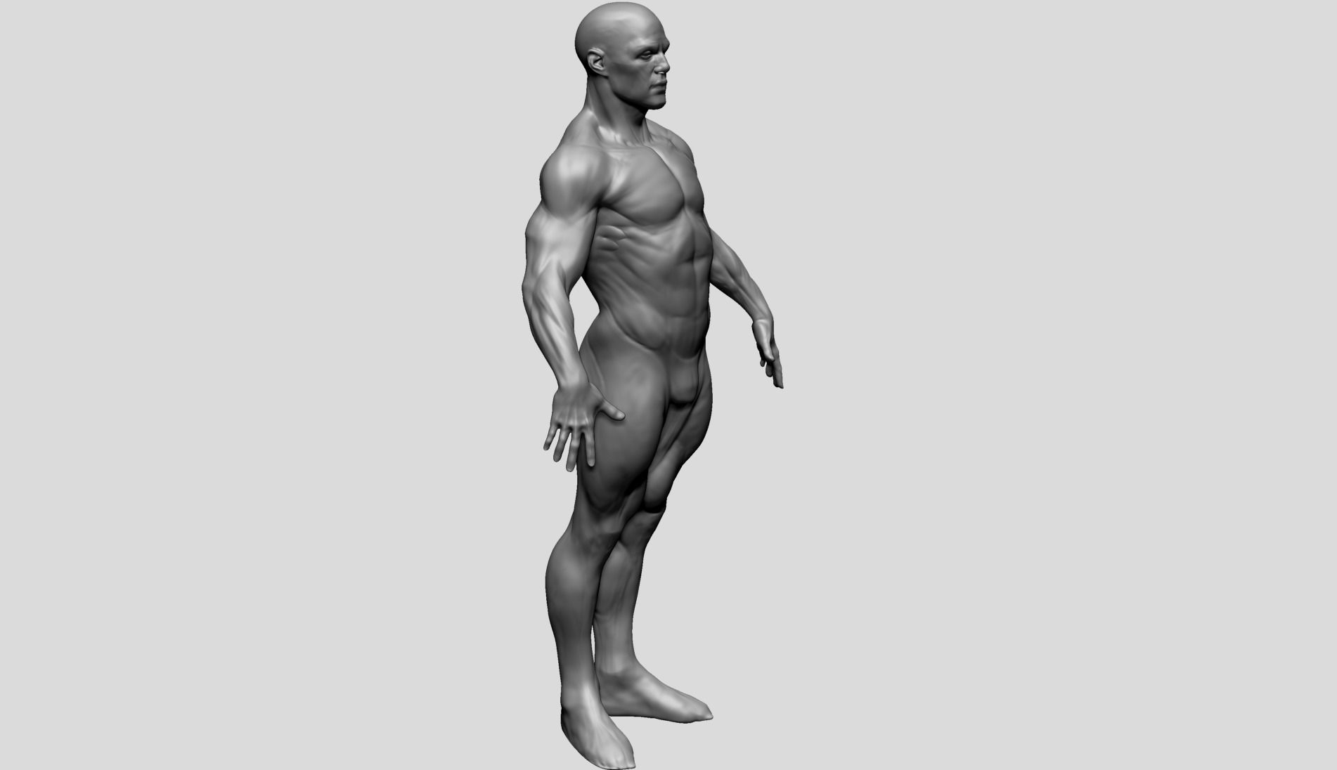 Male Poses 3D model_5