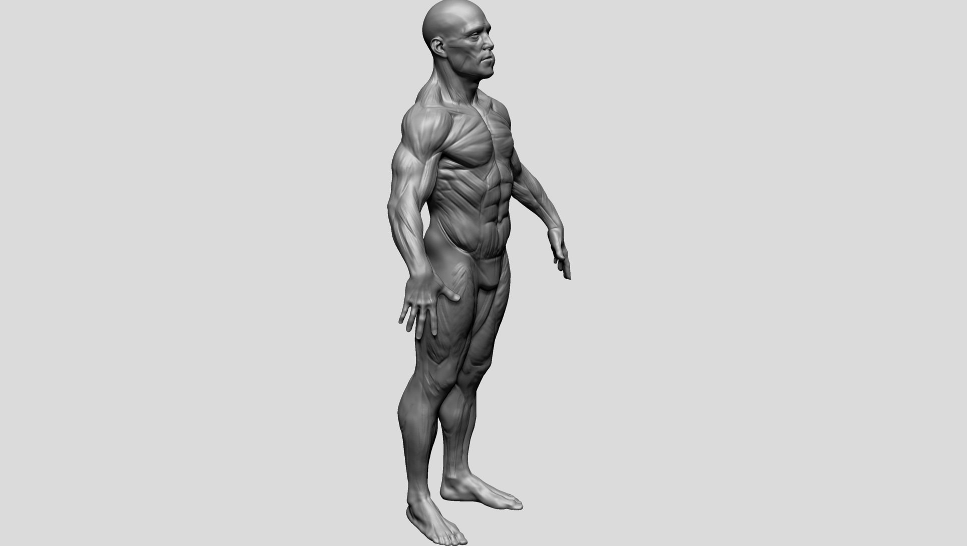Male Poses 3D model_7