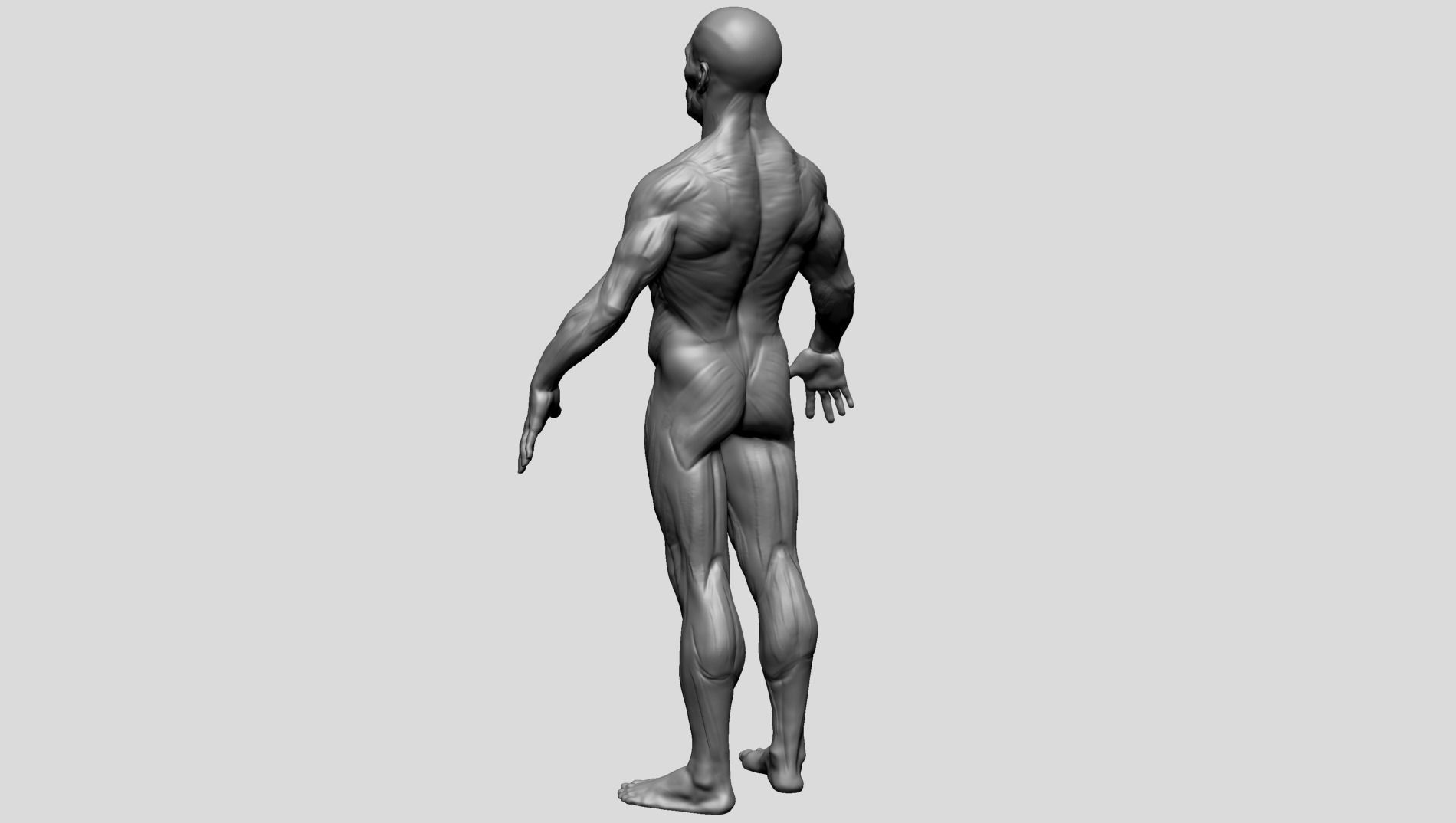 Male Poses 3D model_15