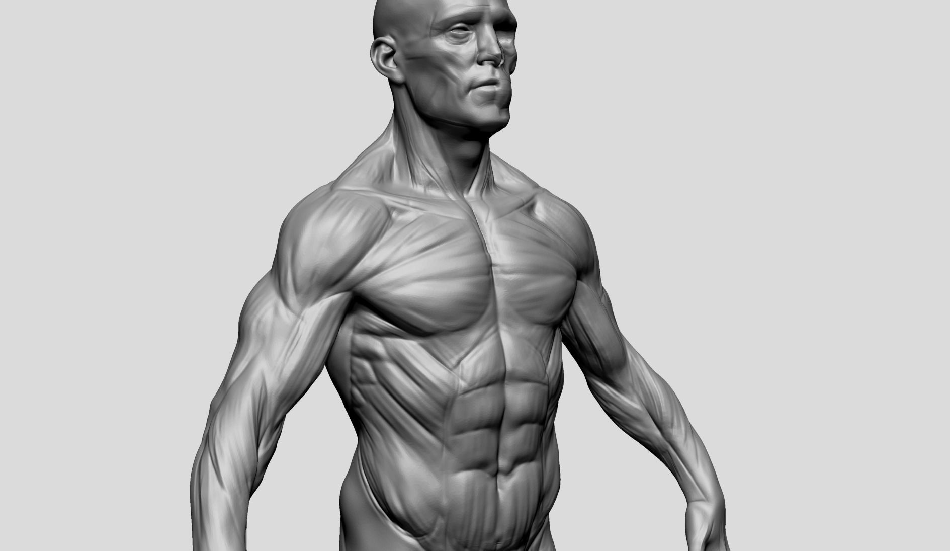 Male Poses 3D model_11