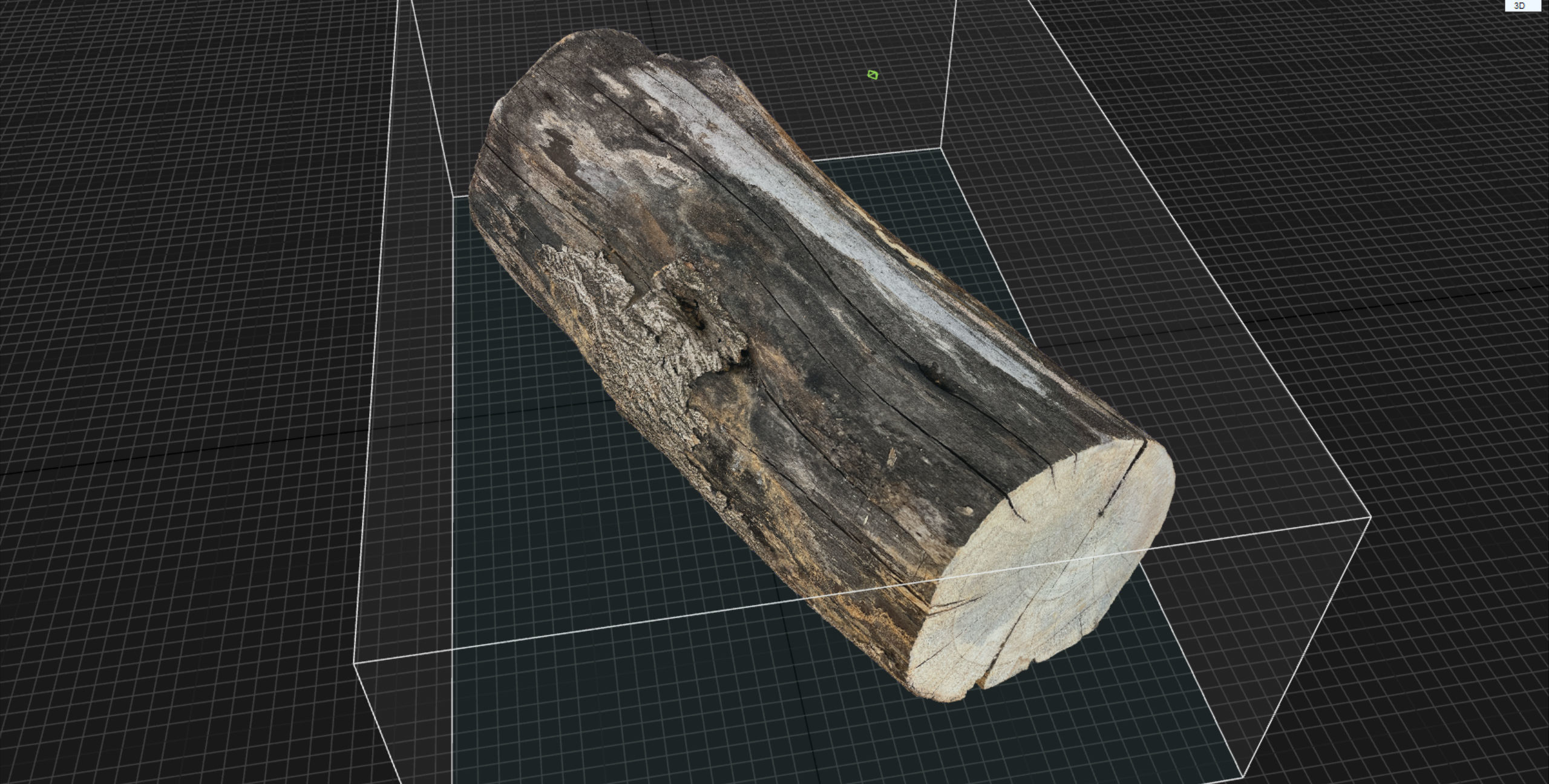 A withered piece of wood 3d scan in highpoly 3D model_22