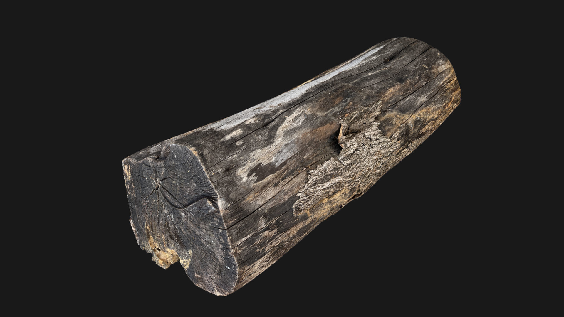 A withered piece of wood 3d scan in highpoly 3D model_23