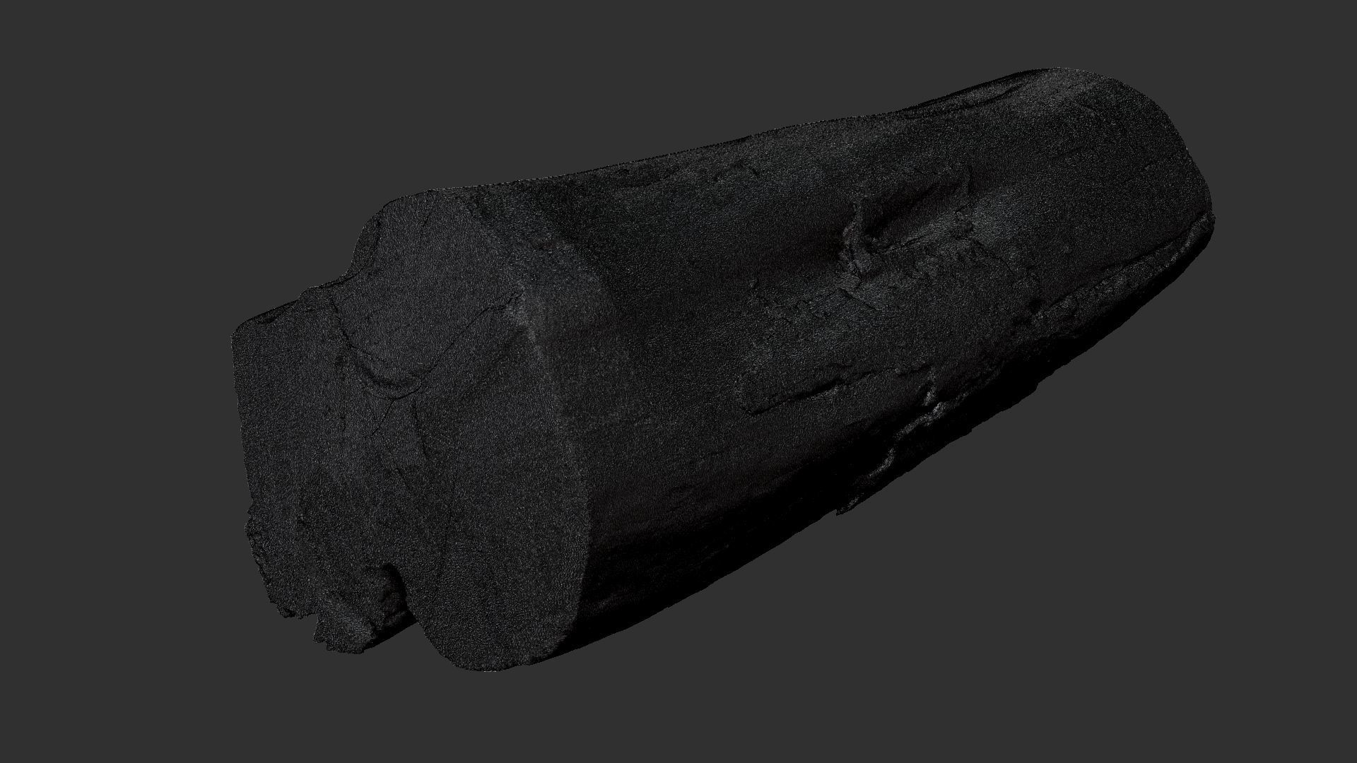 A withered piece of wood 3d scan in highpoly 3D model_17