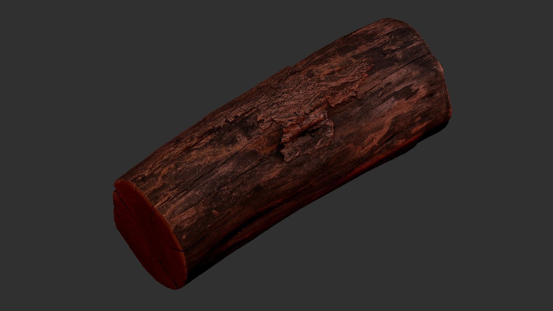 A withered piece of wood 3d scan in highpoly 3D model_18