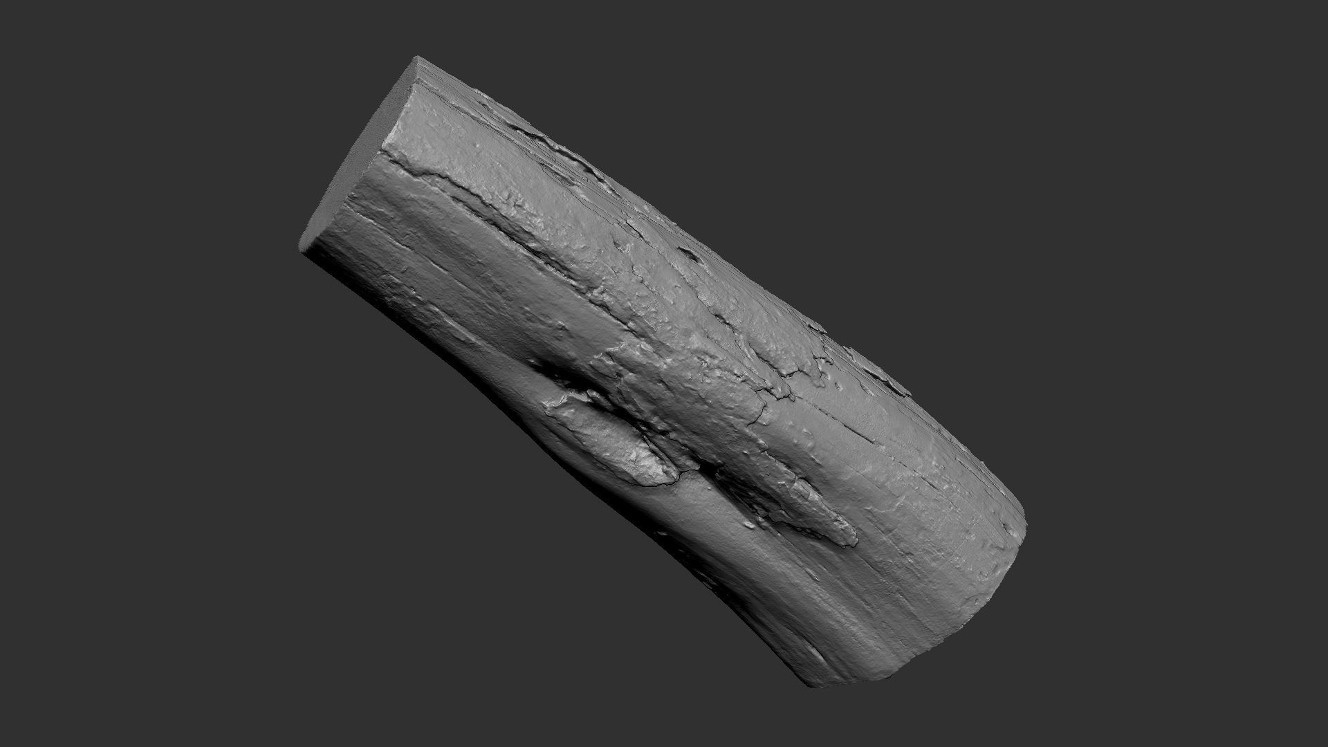 A withered piece of wood 3d scan in highpoly 3D model_15