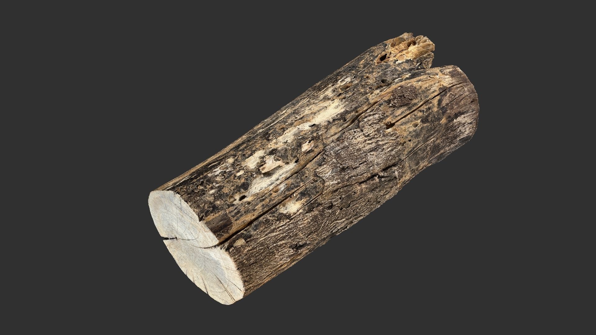 A withered piece of wood 3d scan in highpoly 3D model_4