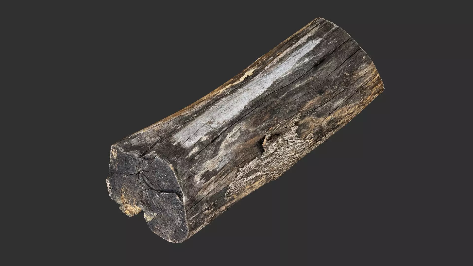 A withered piece of wood 3d scan in highpoly 3D model_0