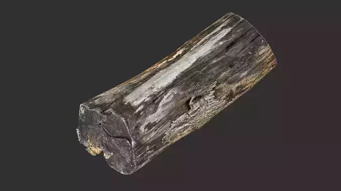 A withered piece of wood 3d scan in highpoly 3D model