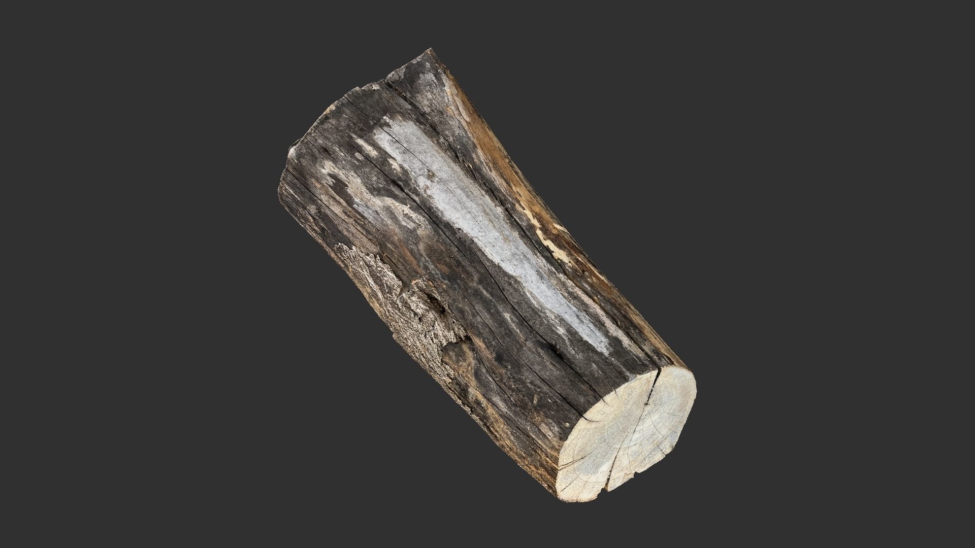 A withered piece of wood 3d scan in highpoly 3D model_2
