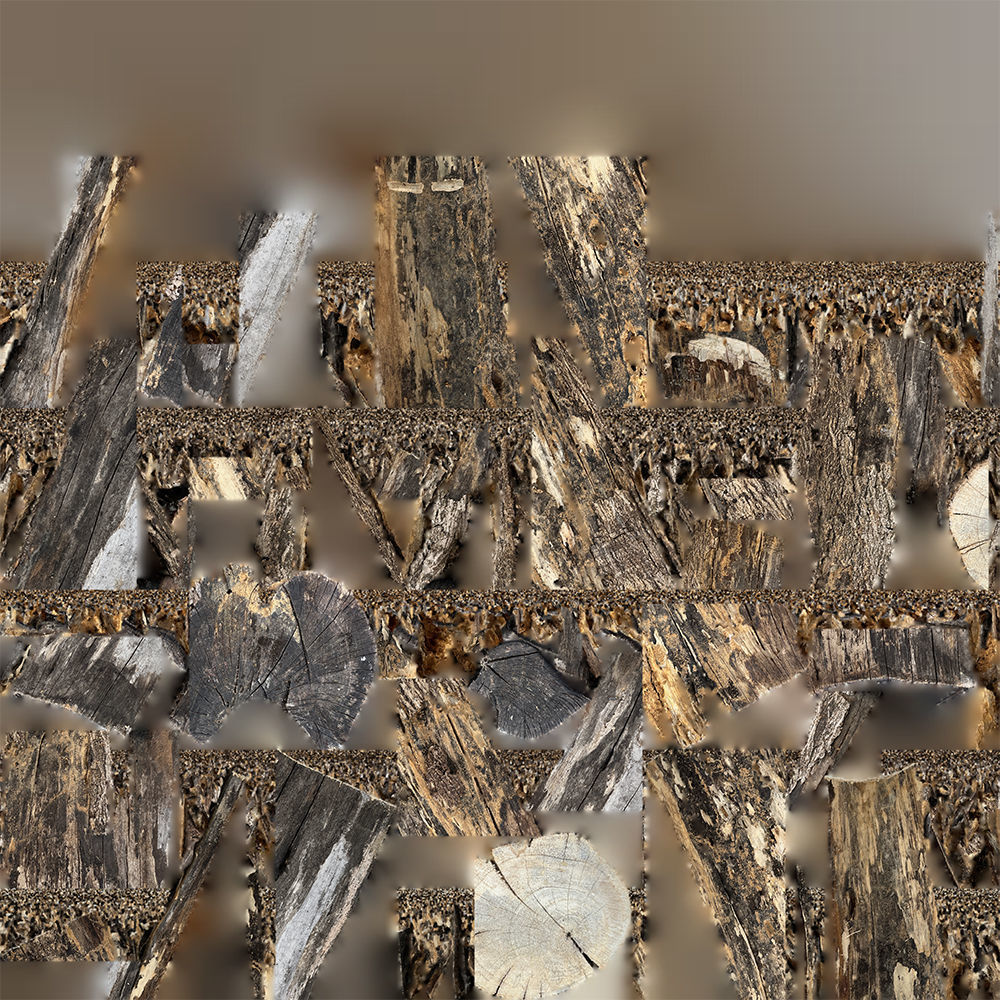 A withered piece of wood 3d scan in highpoly 3D model_19