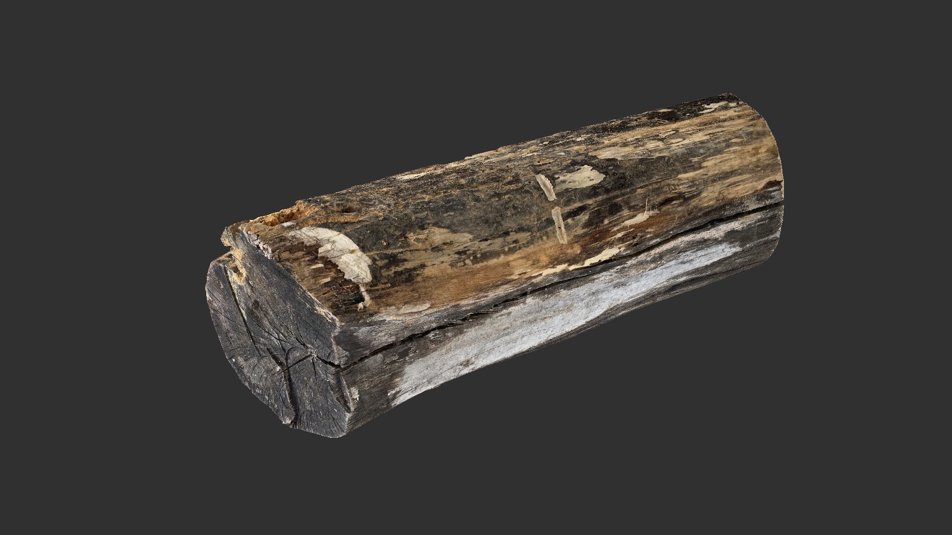 A withered piece of wood 3d scan in highpoly 3D model_6
