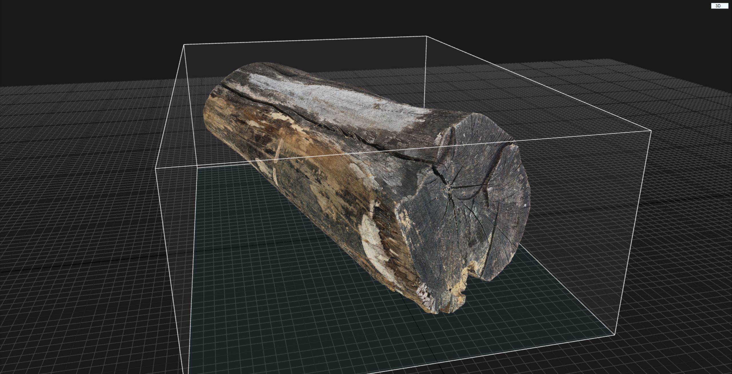 A withered piece of wood 3d scan in highpoly 3D model_21