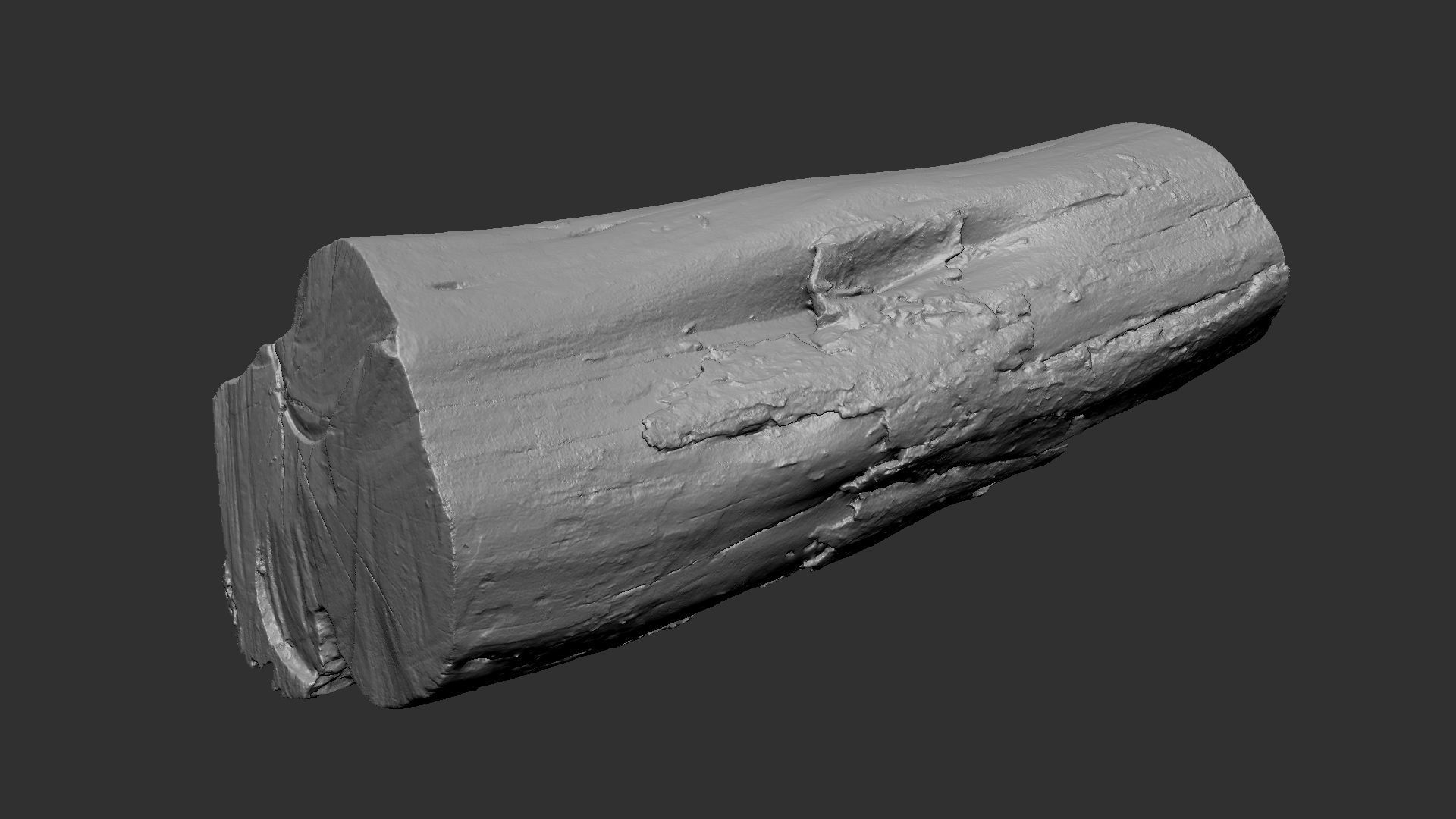 A withered piece of wood 3d scan in highpoly 3D model_16