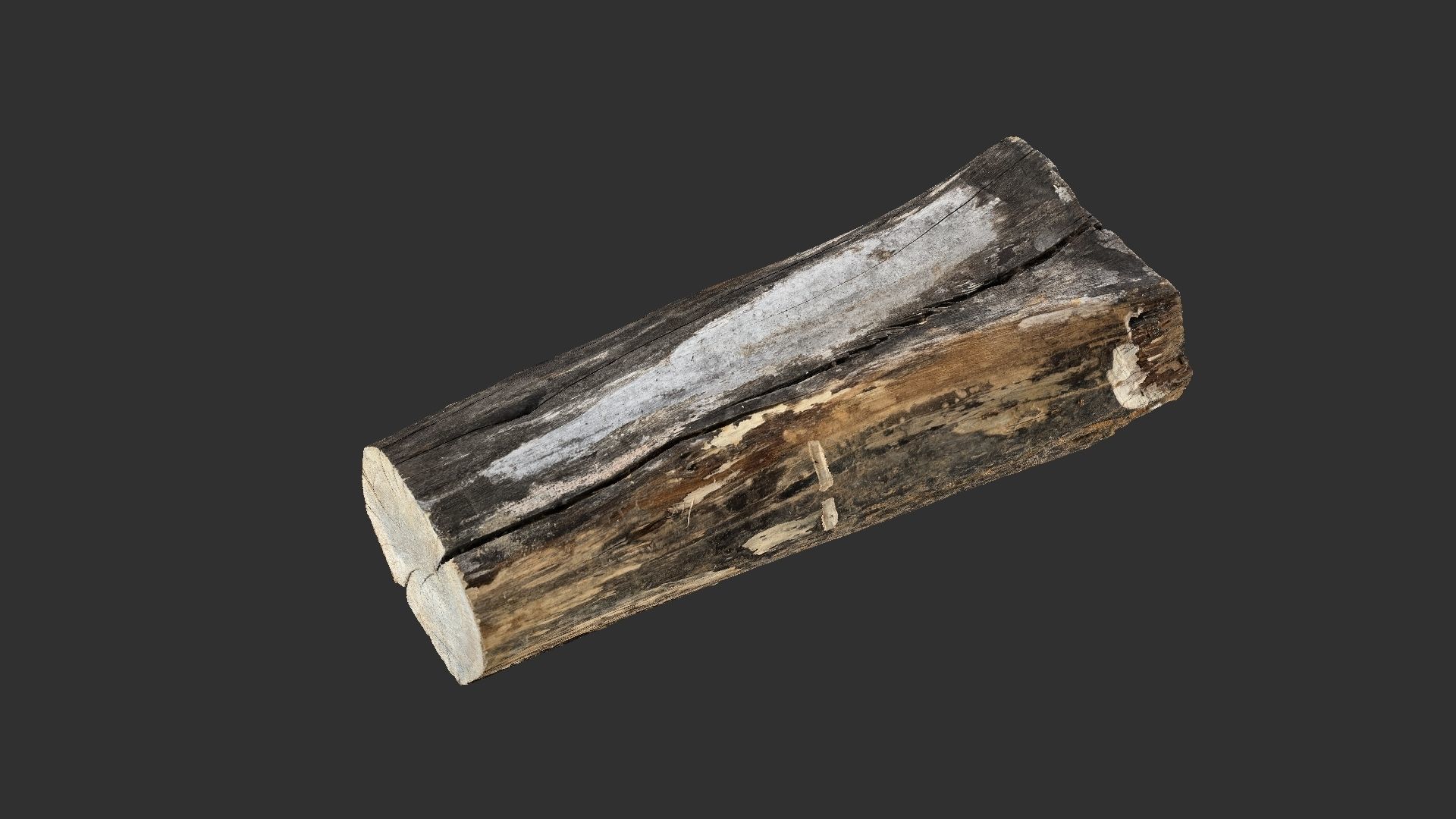 A withered piece of wood 3d scan in highpoly 3D model_3