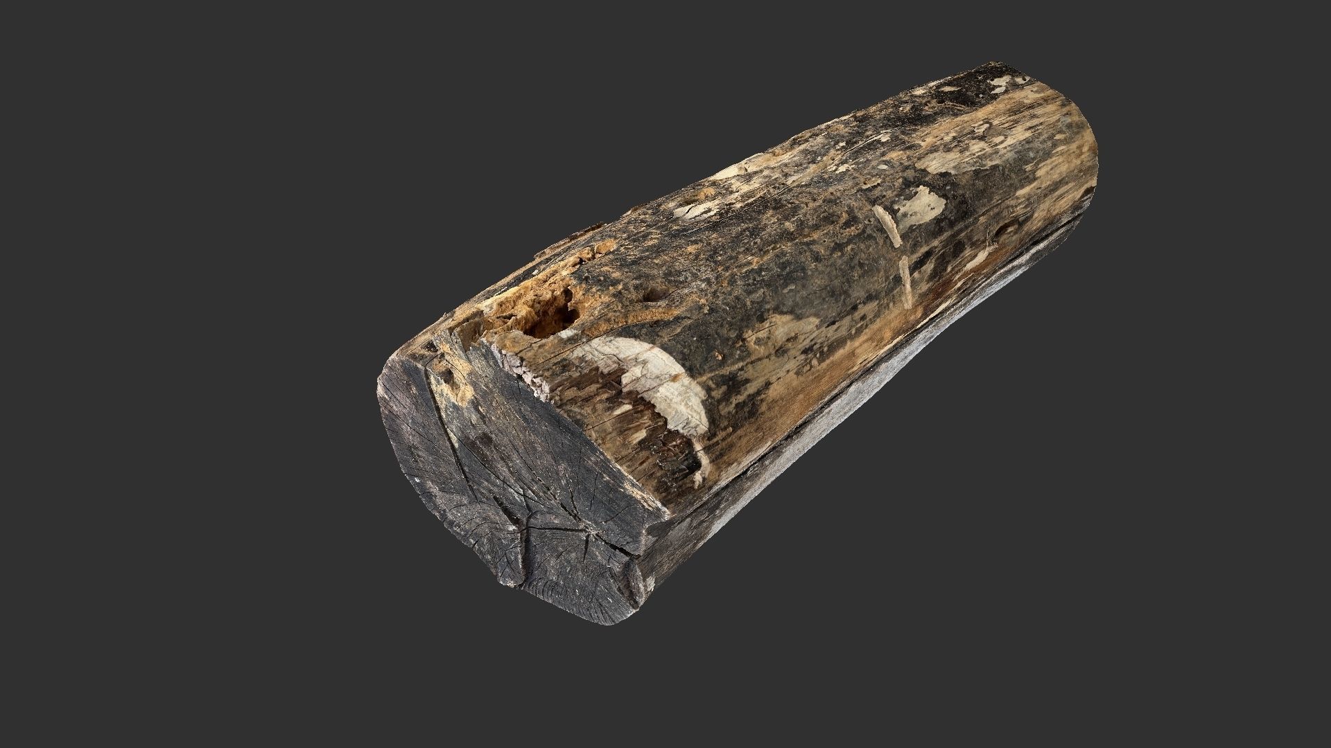 A withered piece of wood 3d scan in highpoly 3D model_5