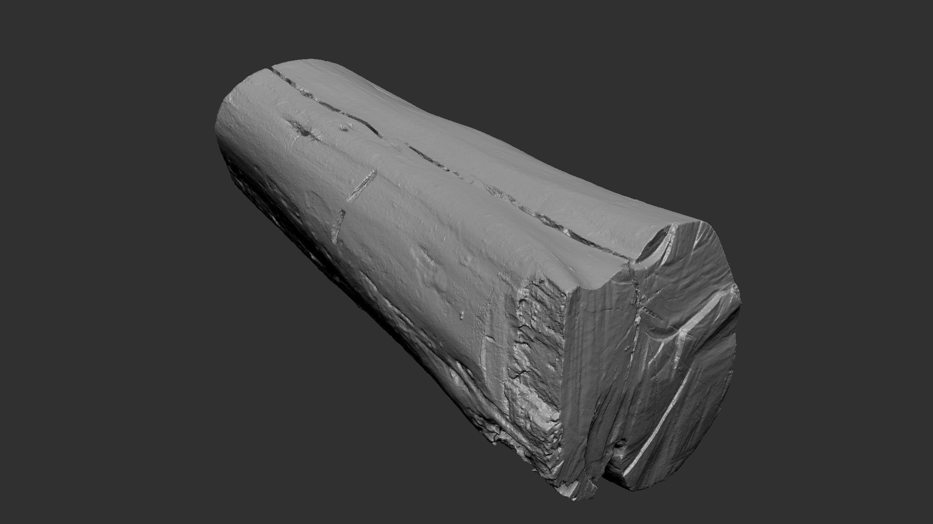 A withered piece of wood 3d scan in highpoly 3D model_14
