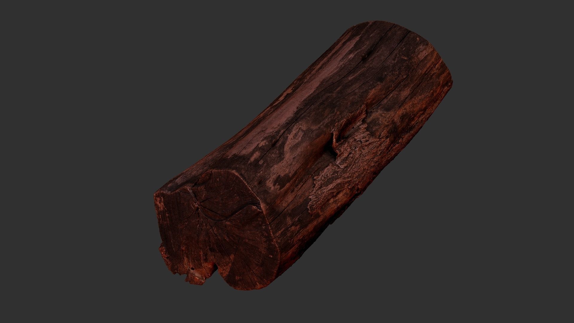 A withered piece of wood 3d scan in highpoly 3D model_12
