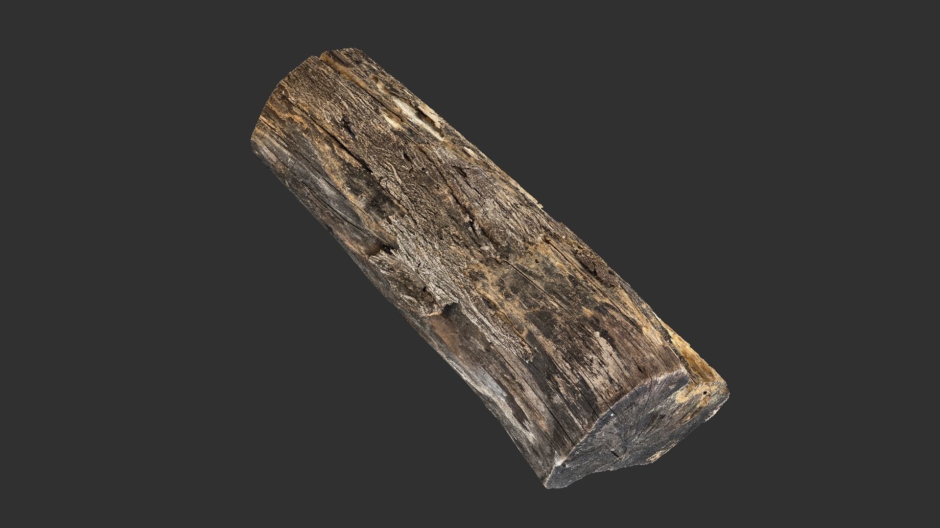 A withered piece of wood 3d scan in highpoly 3D model_7