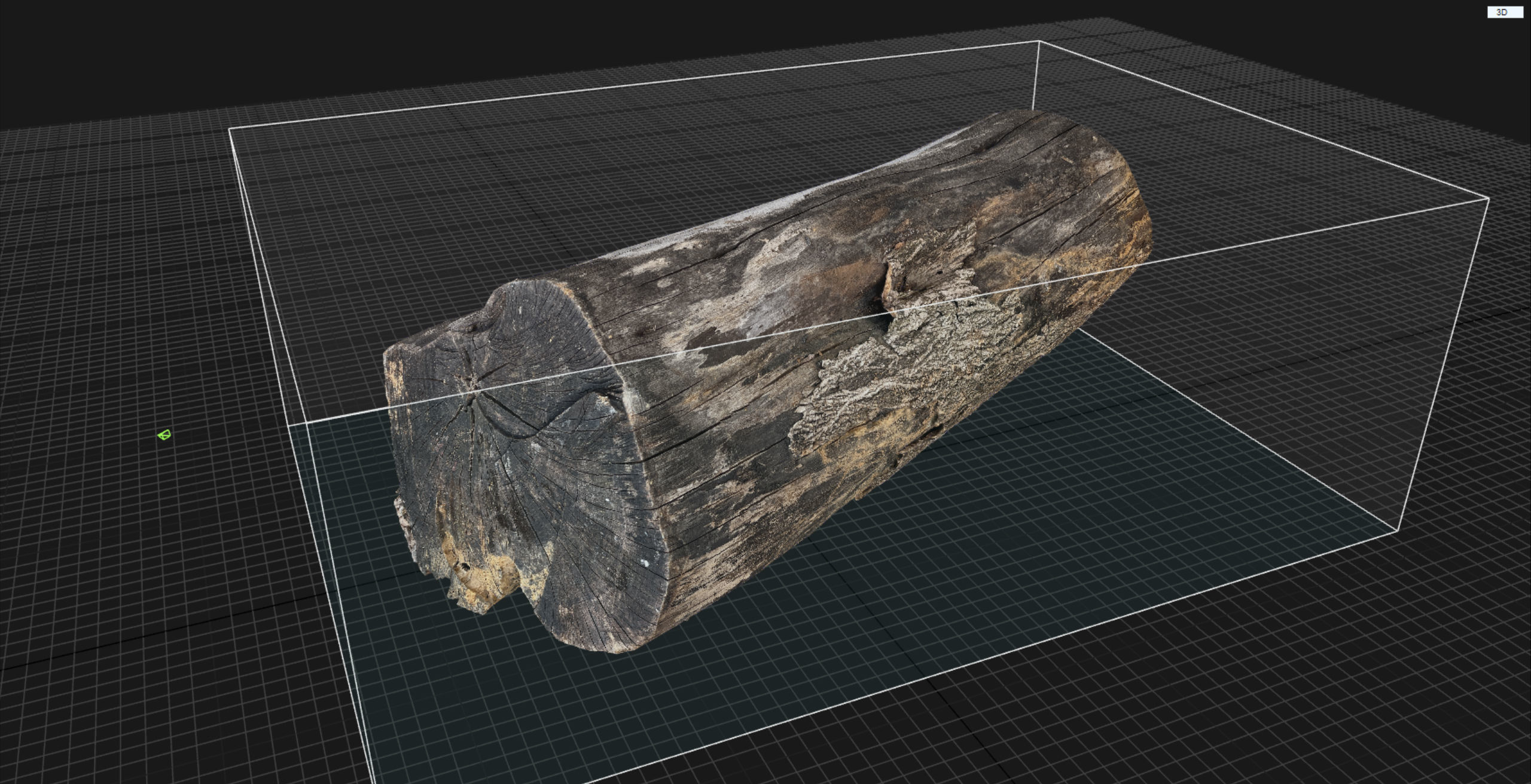 A withered piece of wood 3d scan in highpoly 3D model_20