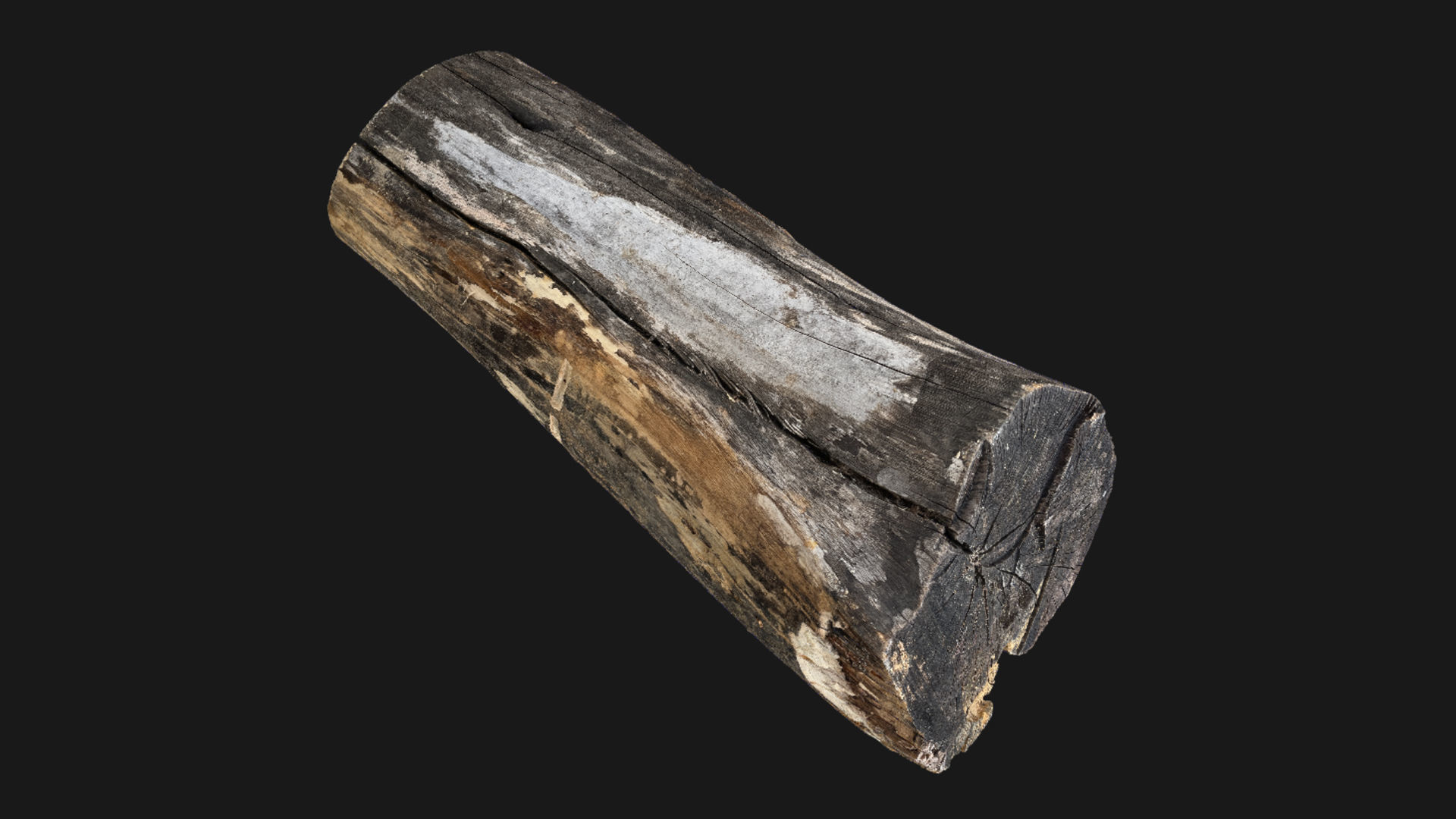 A withered piece of wood 3d scan in highpoly 3D model_24