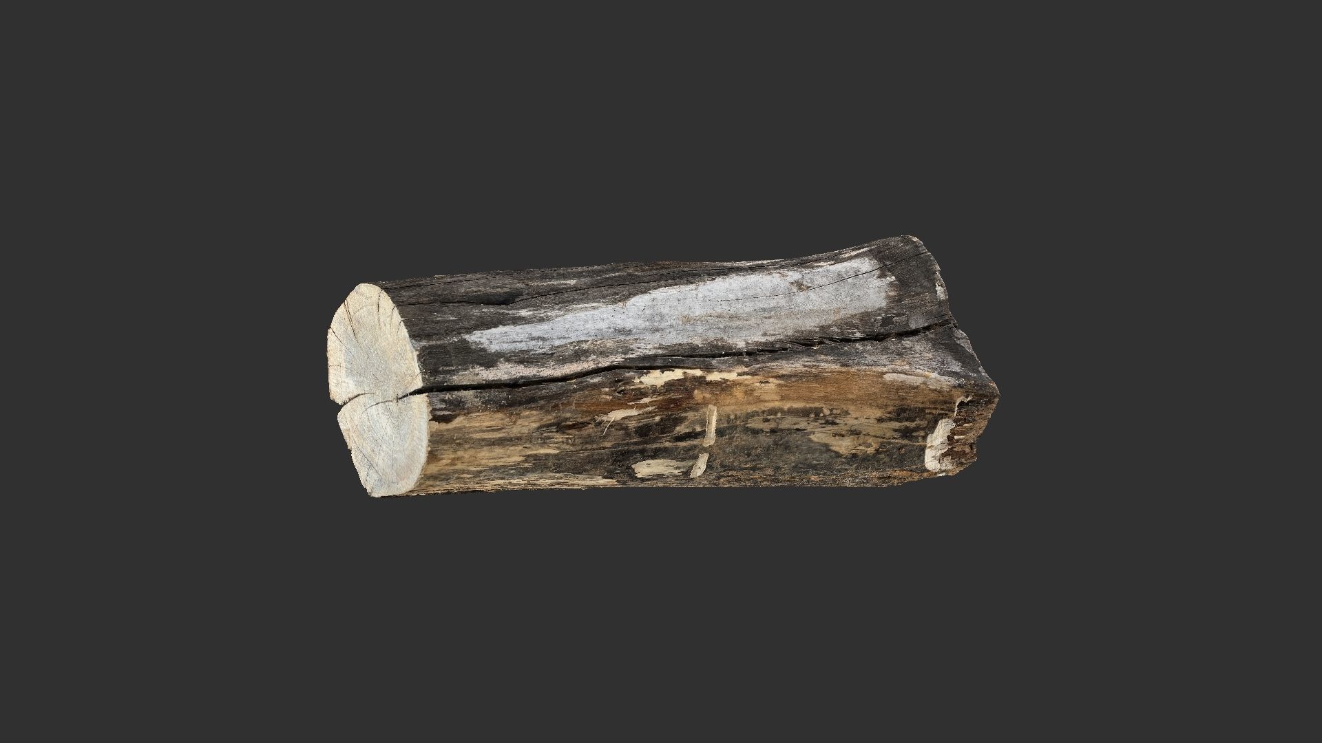 A withered piece of wood 3d scan in highpoly 3D model_9
