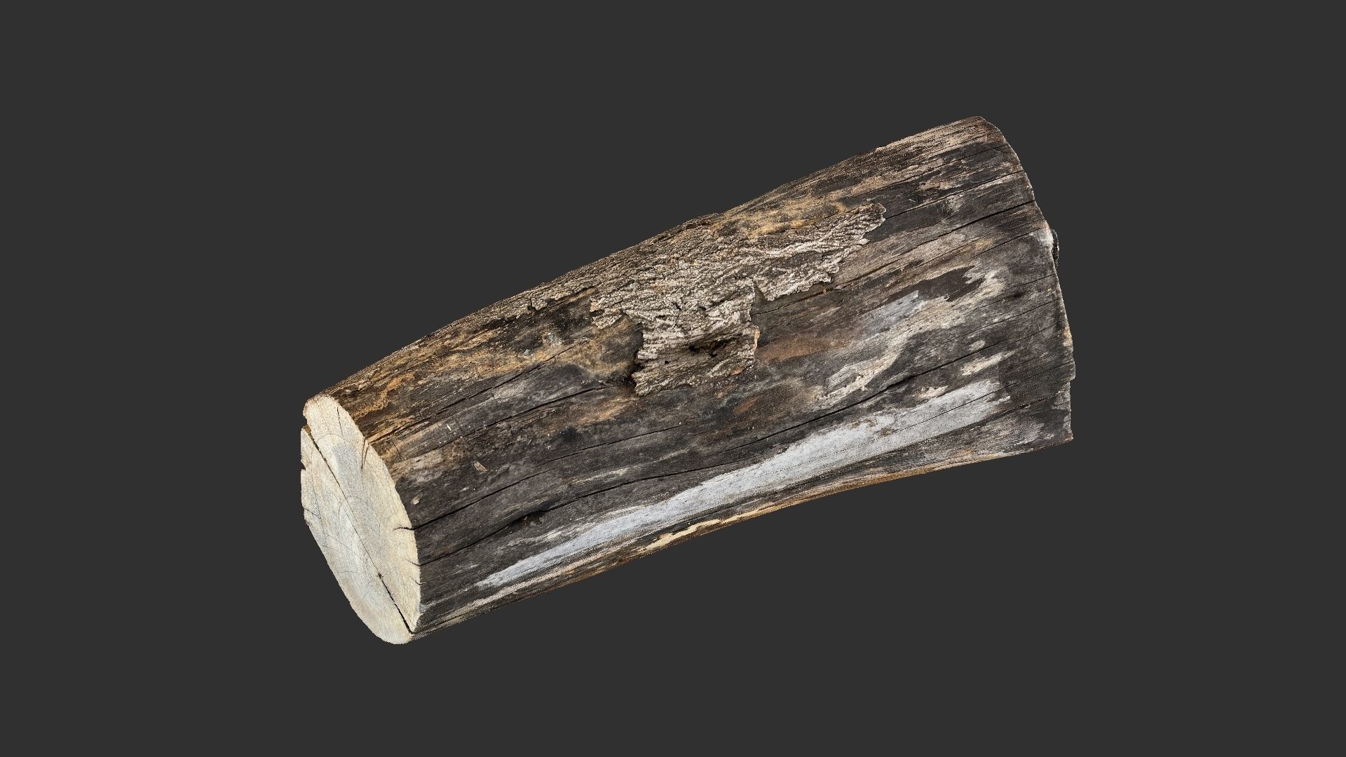 A withered piece of wood 3d scan in highpoly 3D model_8