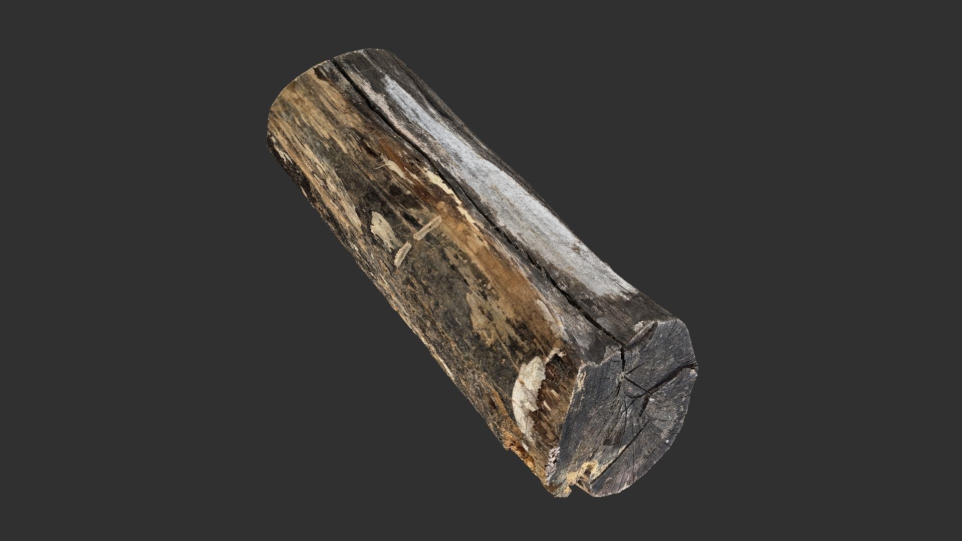 A withered piece of wood 3d scan in highpoly 3D model_1