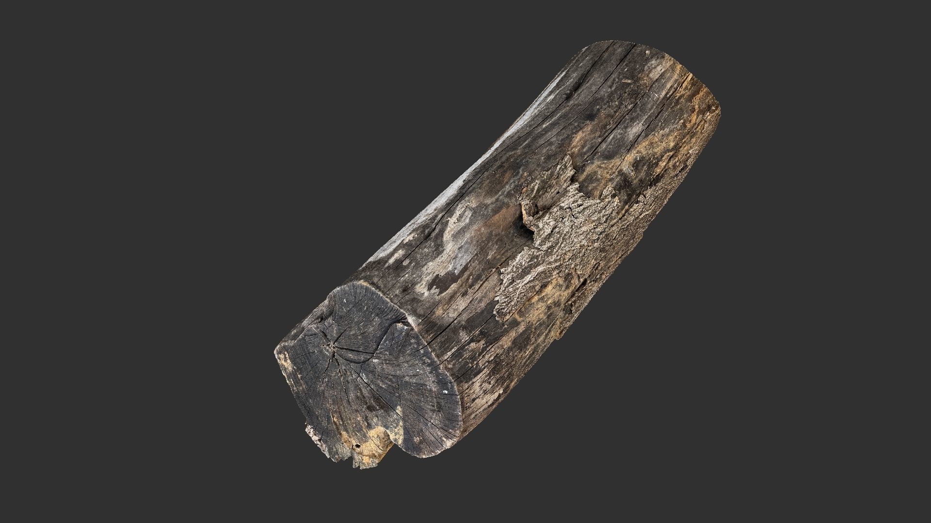A withered piece of wood 3d scan in highpoly 3D model_11