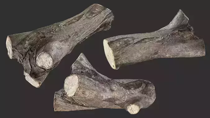Piece of sawn tree wood 3d scan in highpoly