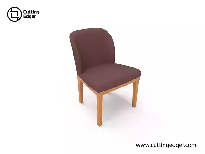 Modern Dining Chair