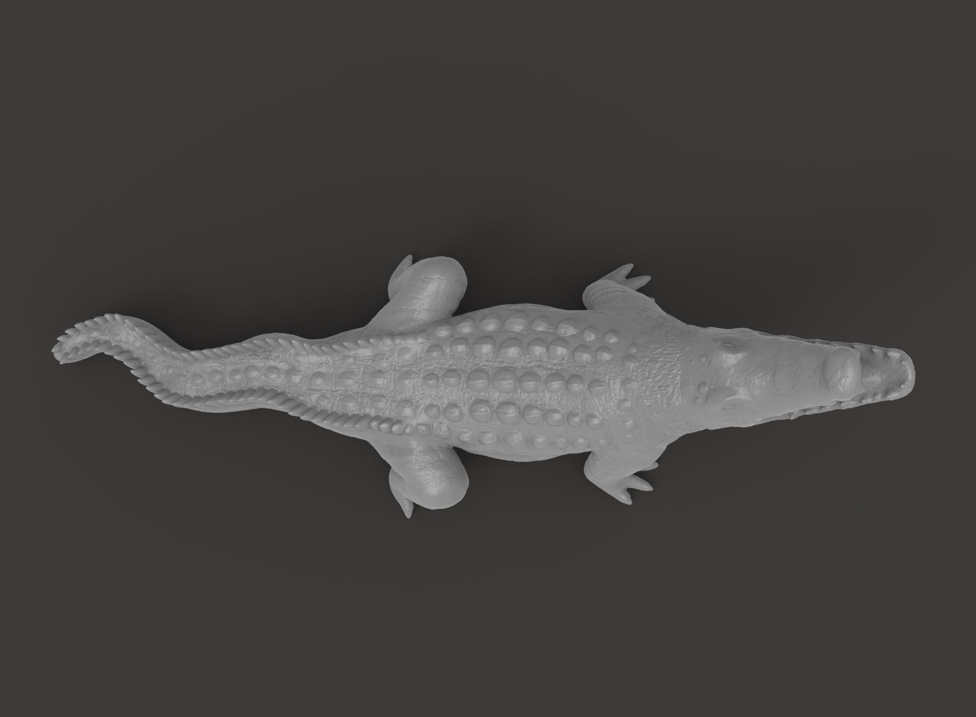 crocodile 3d printable model 3D print model_1