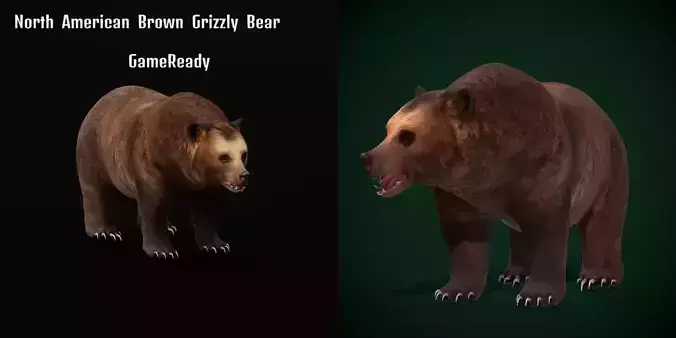 Grizzly Brown Bear