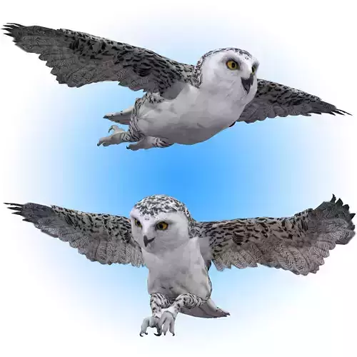 Snowy White Owl Animated Low-poly 3D model