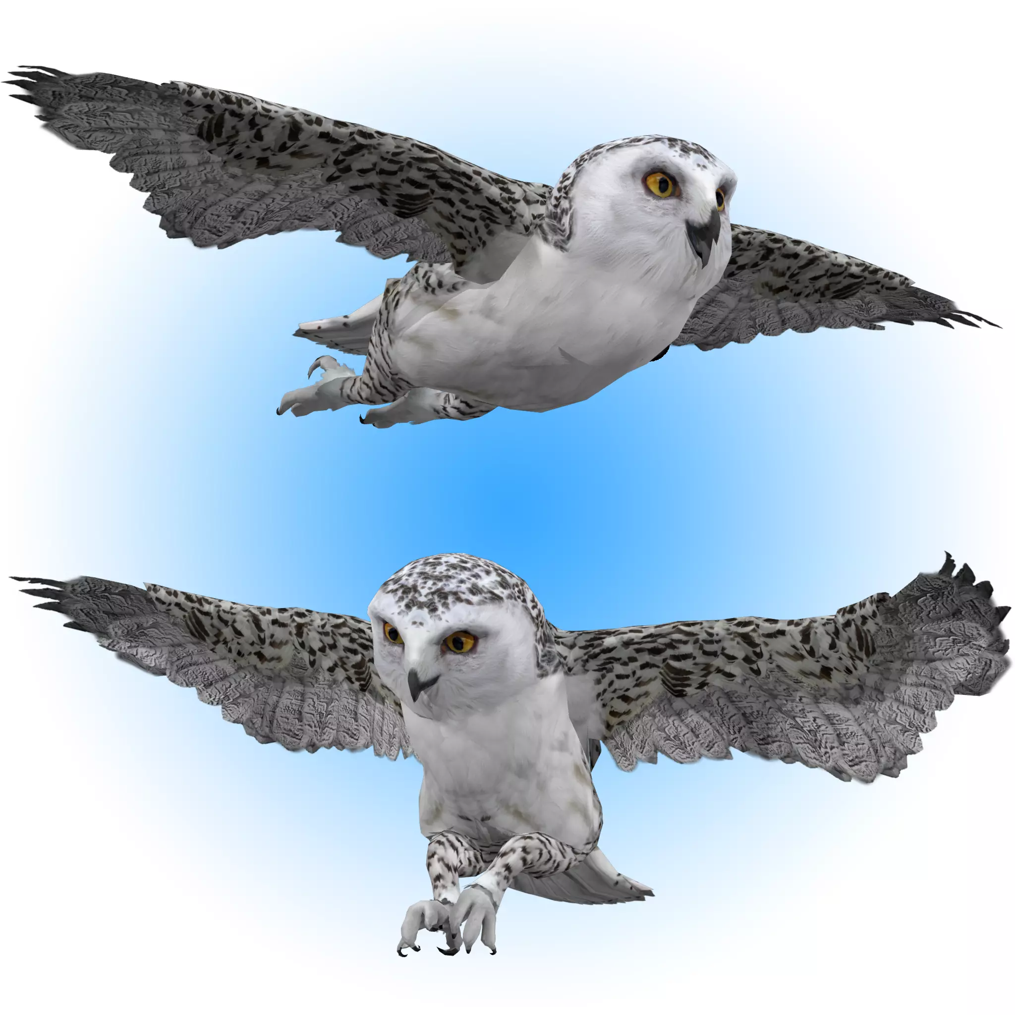 Snowy White Owl Animated Low-poly 3D model_0