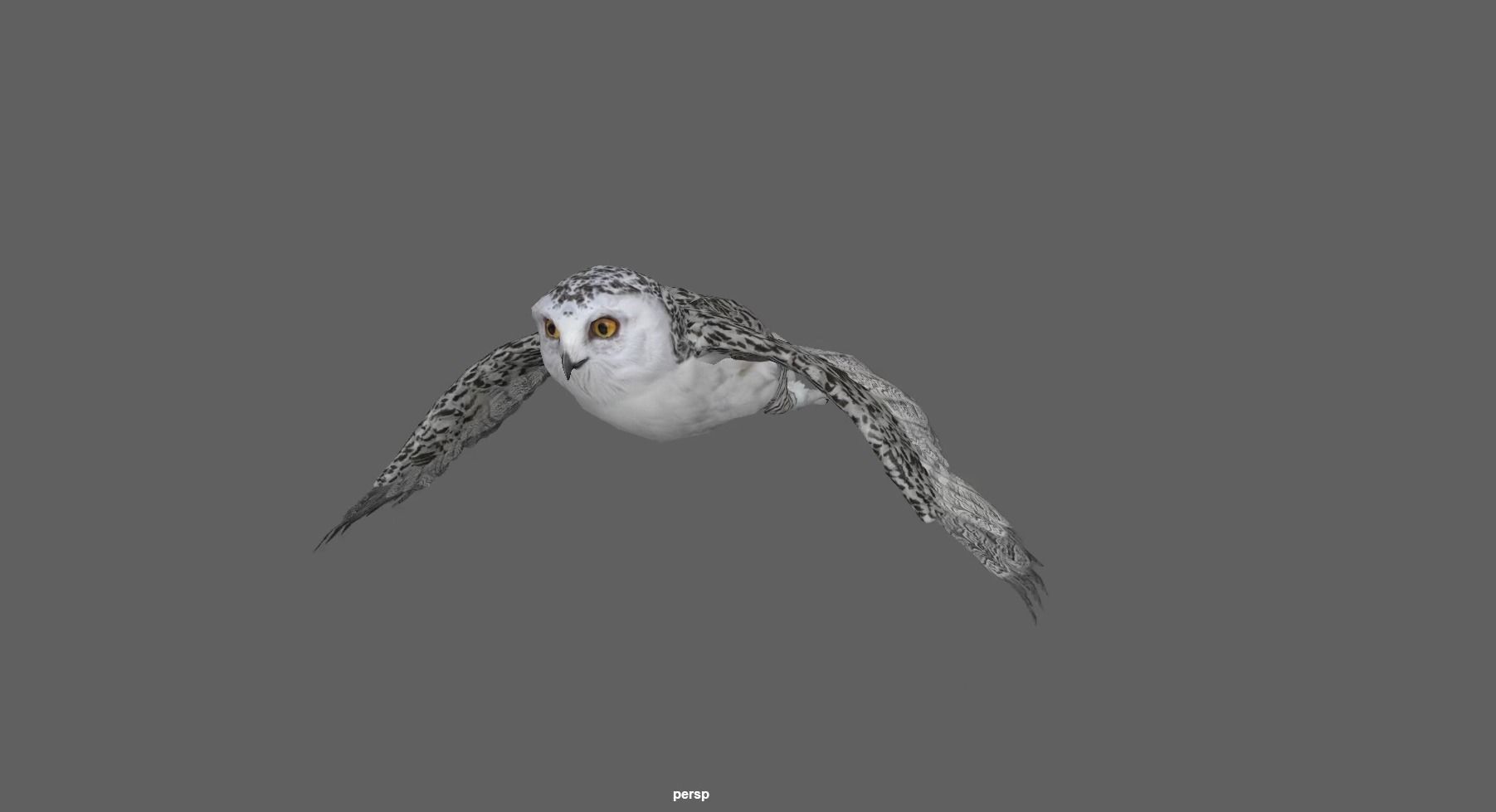 Snowy White Owl Animated Low-poly 3D model_19