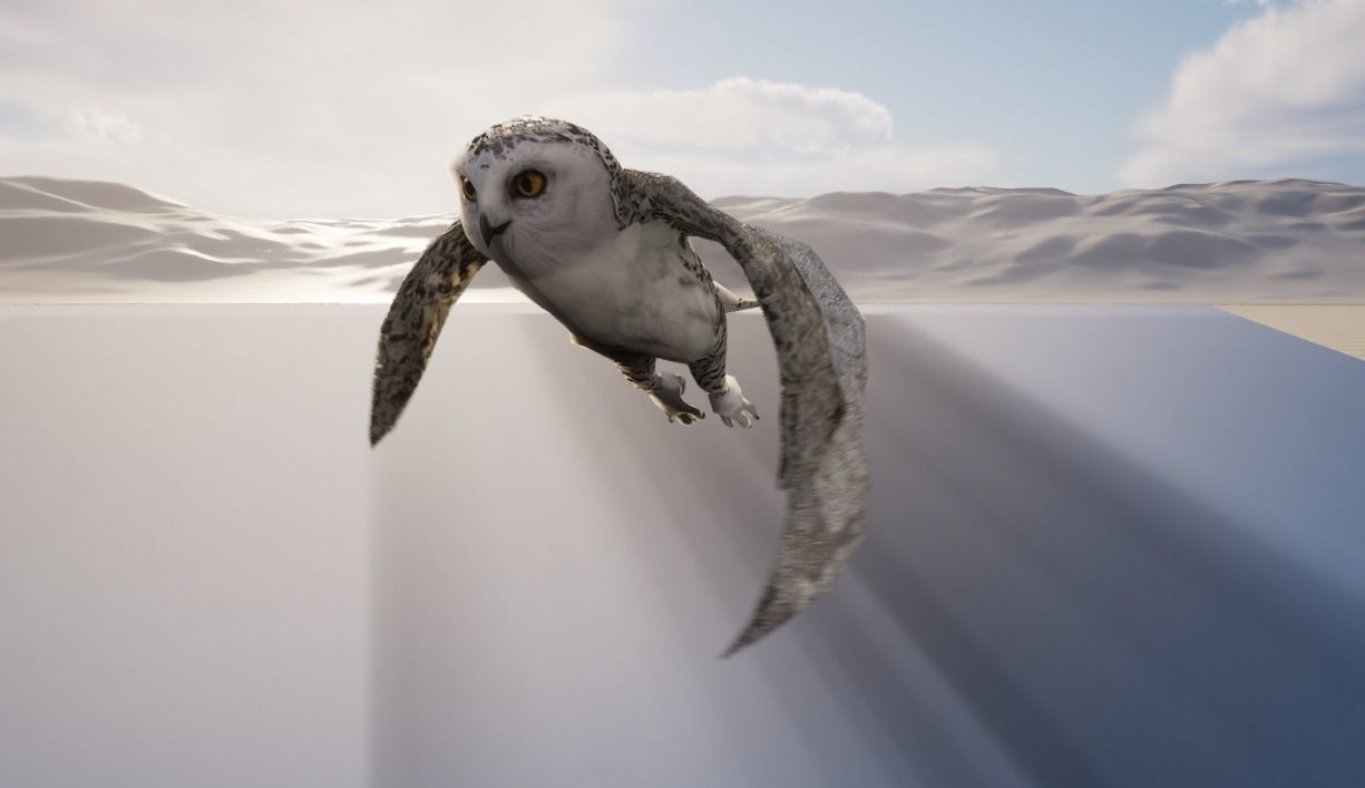 Snowy White Owl Animated Low-poly 3D model_12